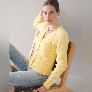 White House Black Market Bumble Bee Sweater